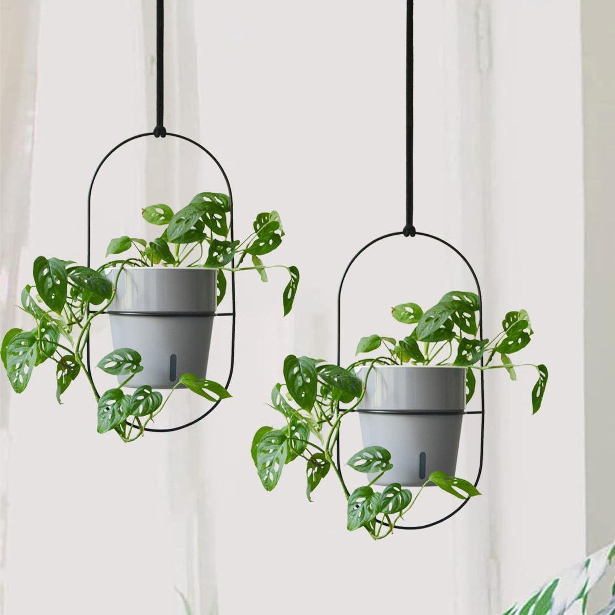 Self-Watering Wall Mounted Planter with Large Capacity for Indoor Plants