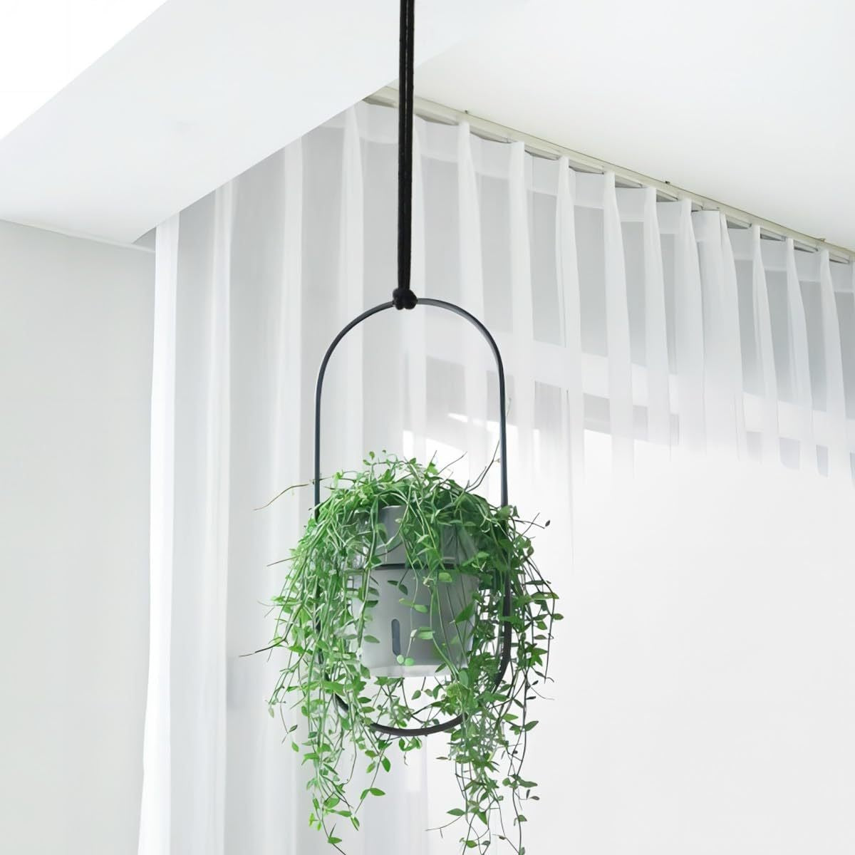 Self-Watering Wall Mounted Planter with Large Capacity for Indoor Plants