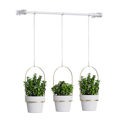 Detachable Chain Hanging Metal Planter & Wall Basket for Succulents