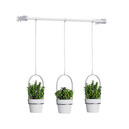 Detachable Chain Hanging Metal Planter & Wall Basket for Succulents
